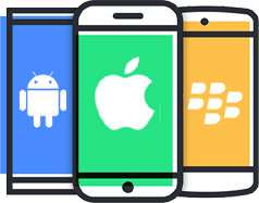 Native App Development Services